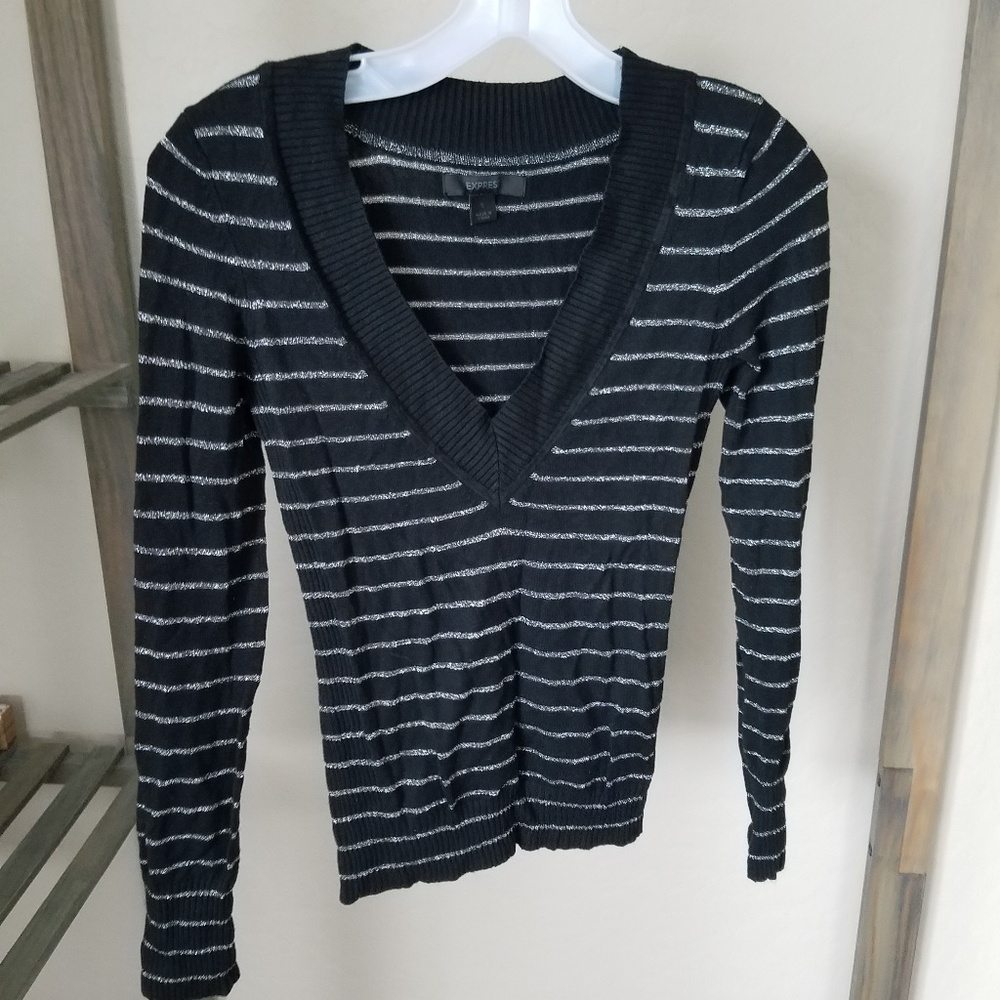 Express v neck sweater